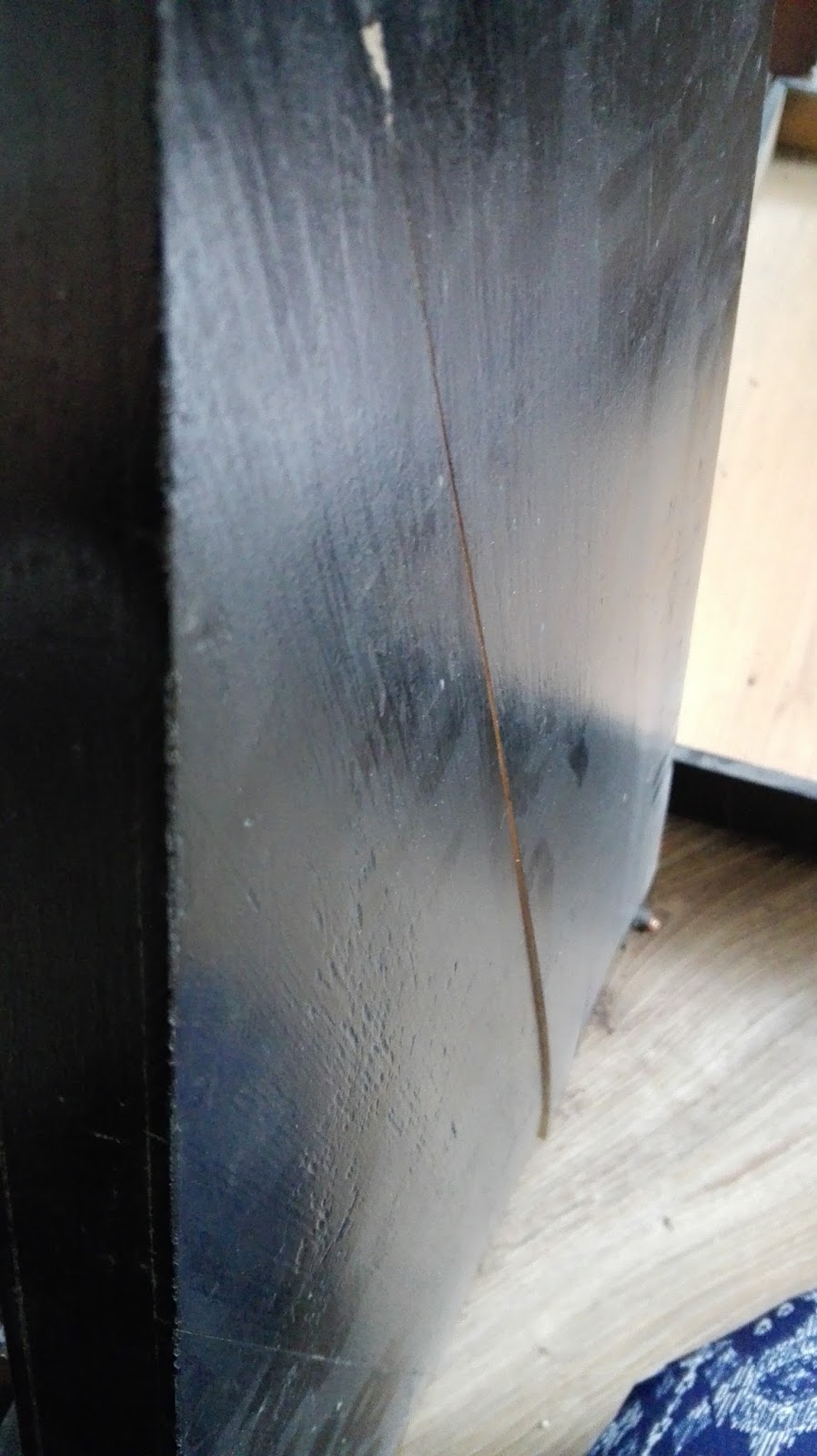 The Müller Autoharp Restoration Project The Müller's Accordzither