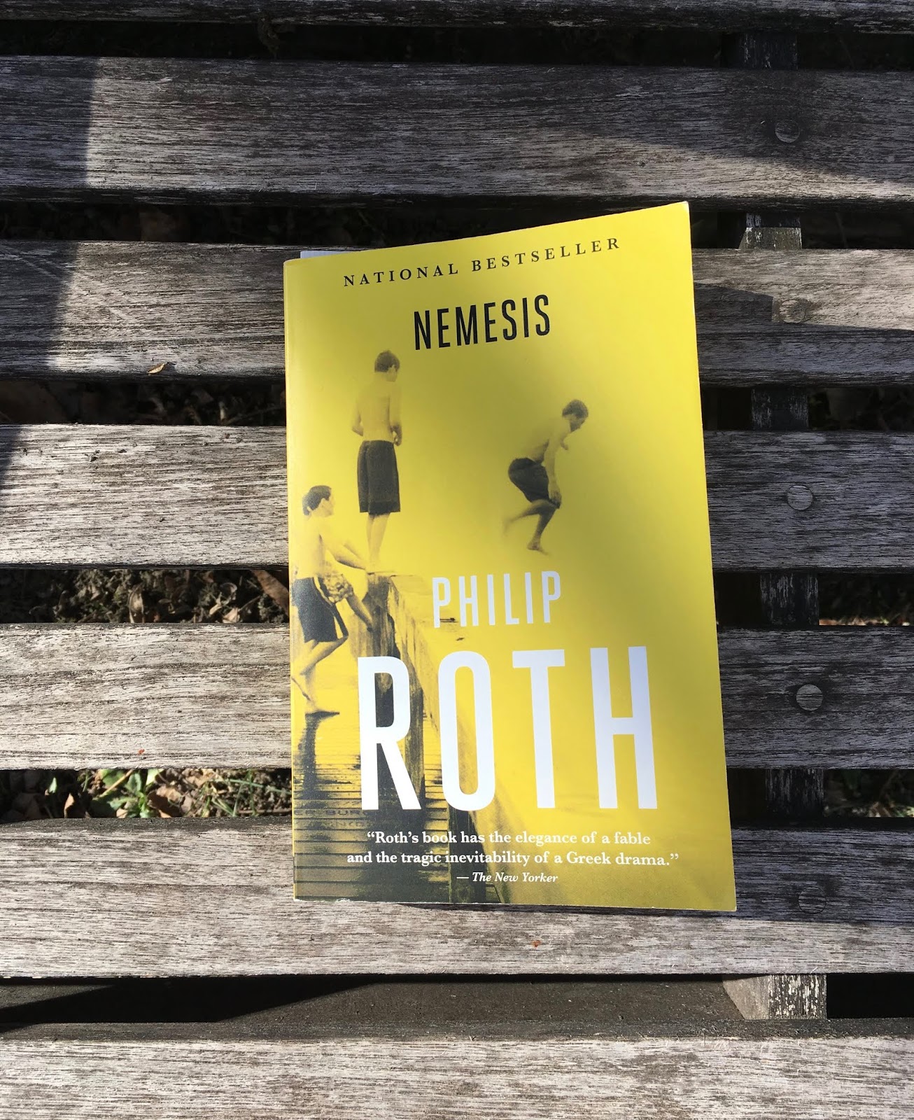 Une Vie A Lire Nemesis