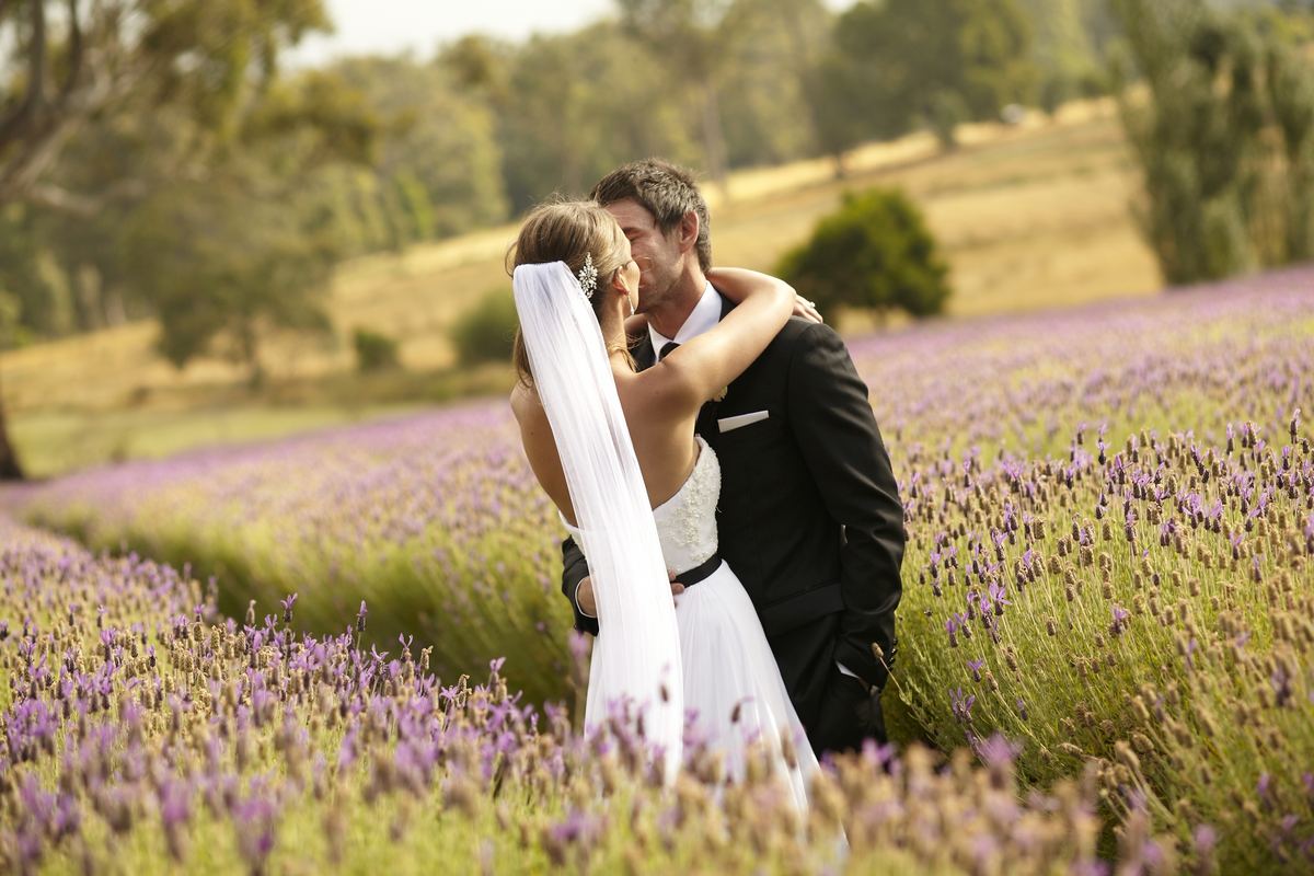 Romantic Wedding in a Lavender Field