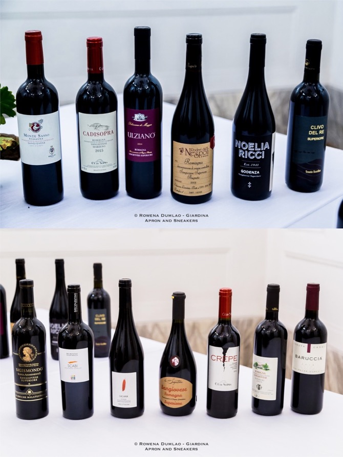 Enologica 2017 Wines of EmiliaRomagna in Bologna, Italy