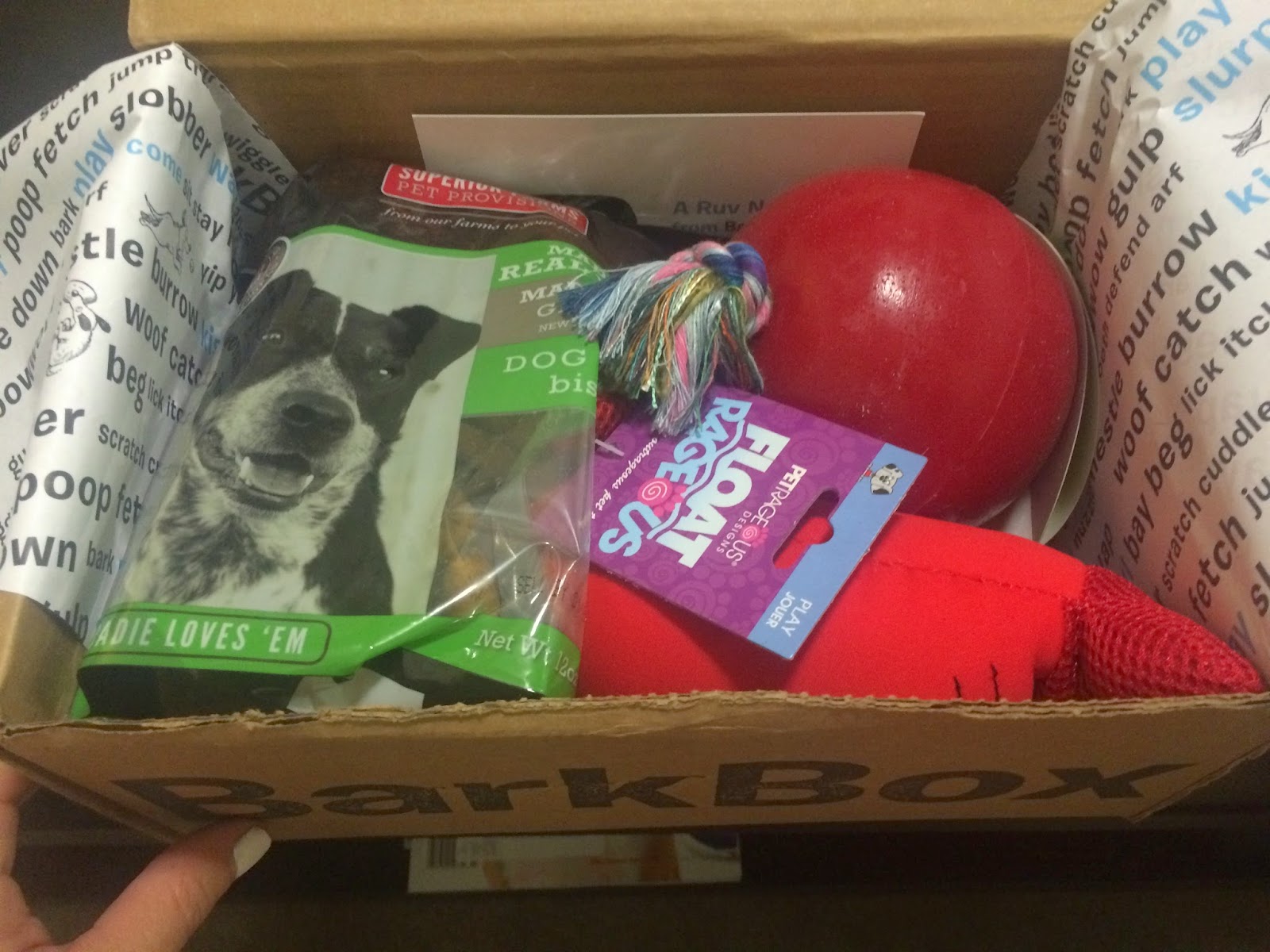 barkbox maple syrup toys inside