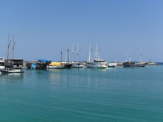 harbor bira Harbor Bira