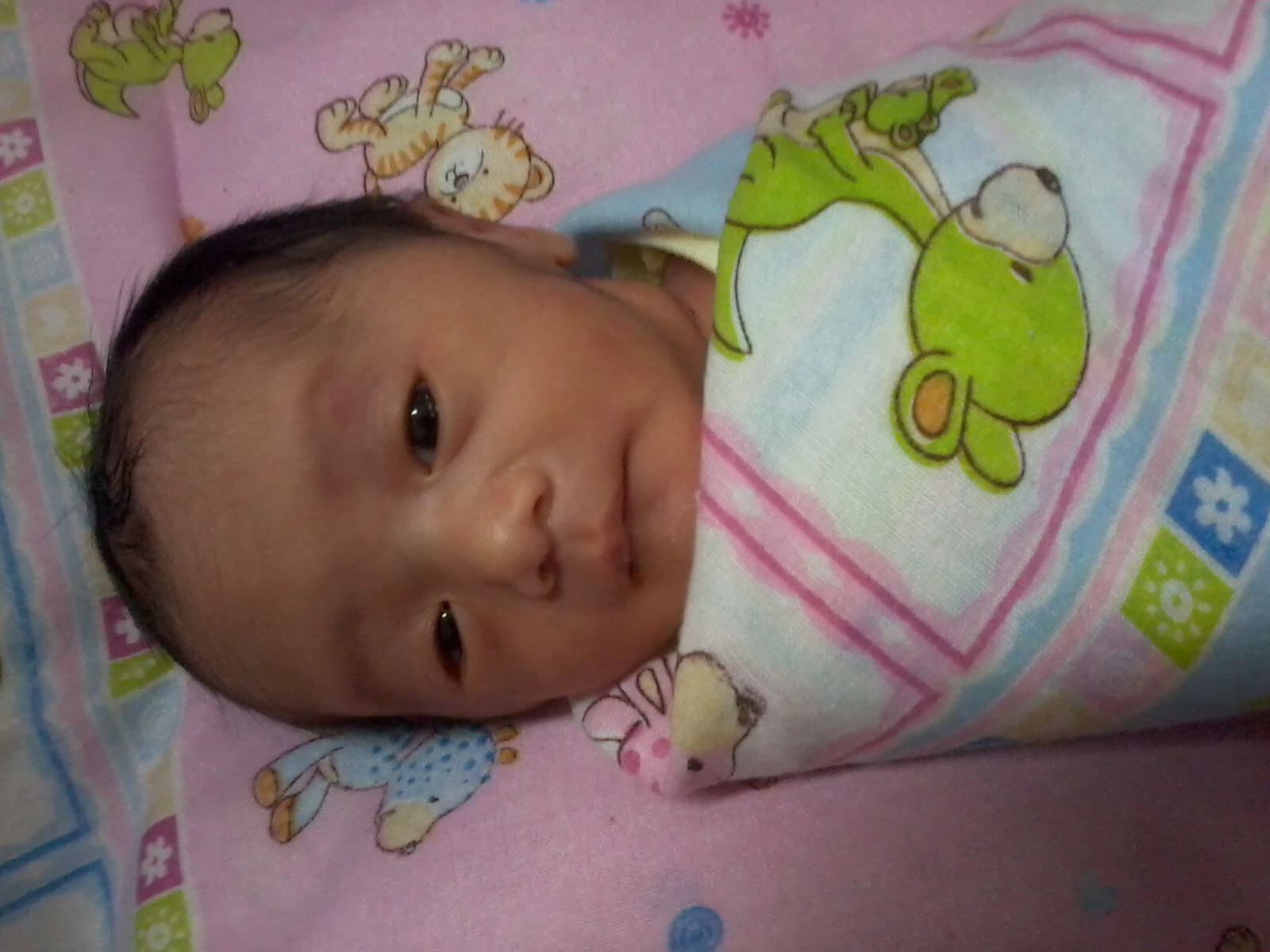 Bayi Kembar: Gallery