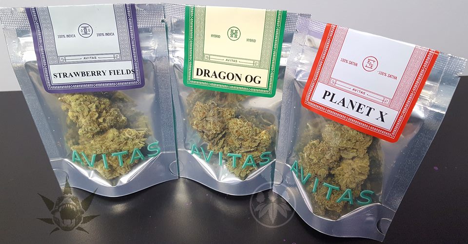 Mt. Vernon Recreational Marijuana Cannarex Cannabis Mt. Vernon WA