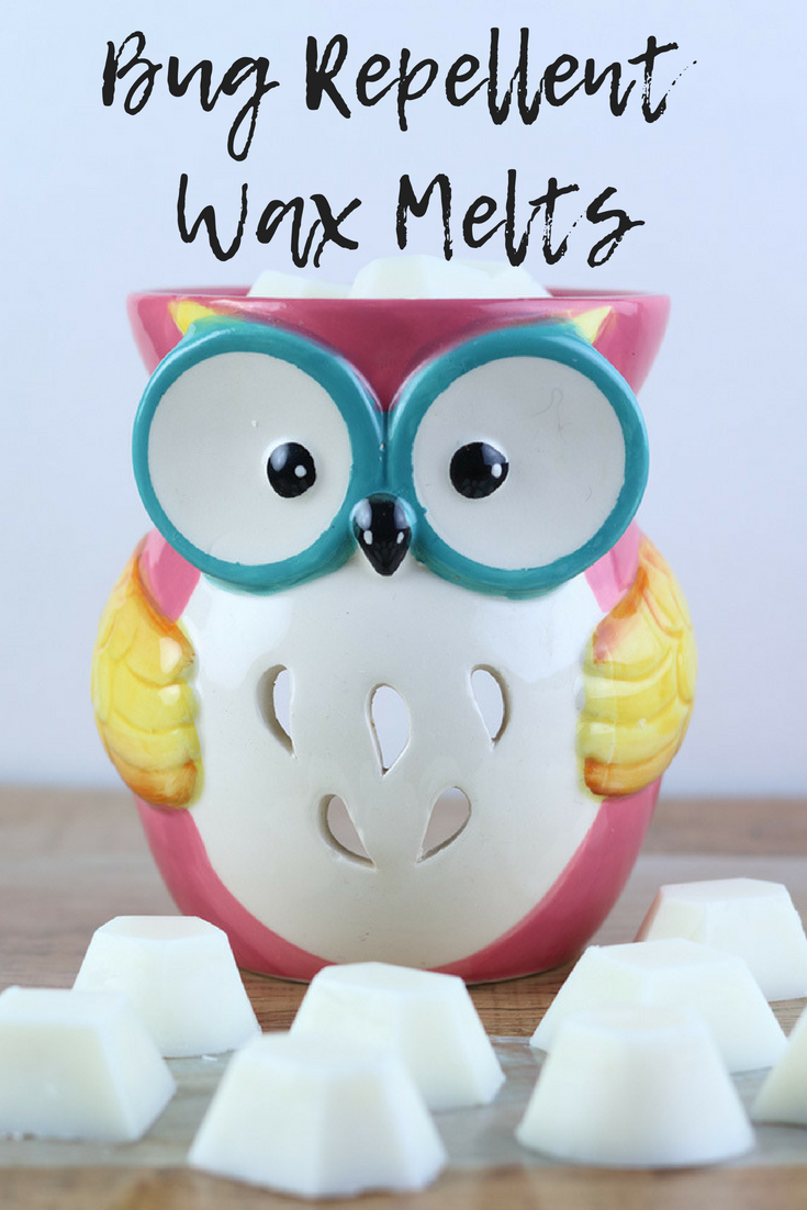 Homemade Bug Repellent Candle Melt Recipe Everything Pretty