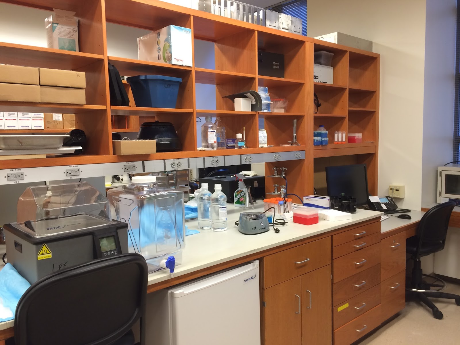 Lee Lab One month in and finally starting to look like a real lab....