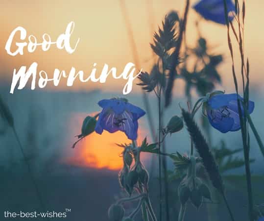 good-morning-monday-images-download good morning monday images download