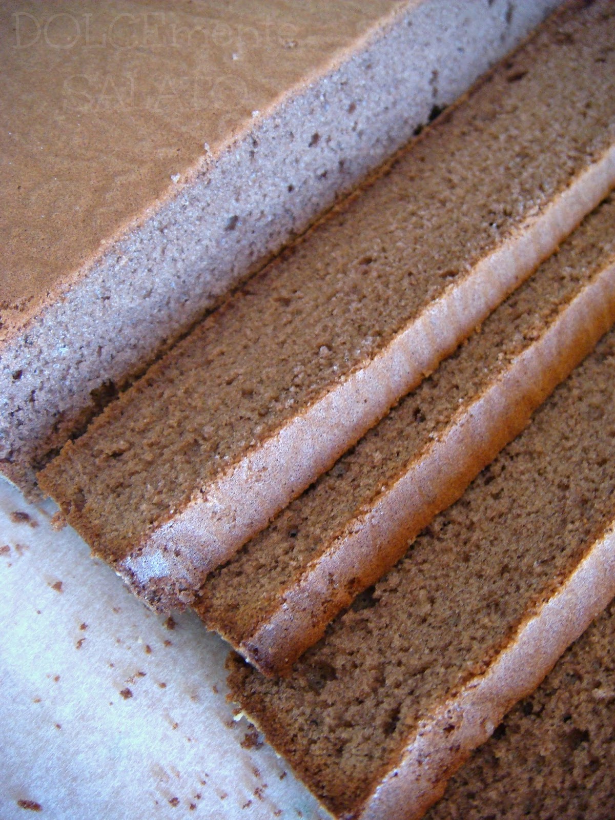 DOLCEmente SALATO Pan di Spagna al cacao o genovese