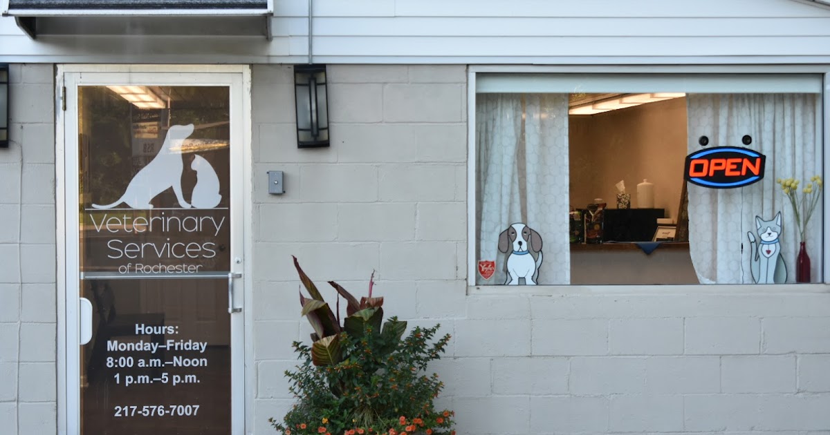 Veterinary Services of Rochester Gallery