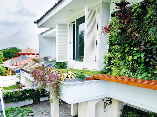 Gambar Desain Konsep Taman Vertikal (Vertical Garden) - TUKANG TAMAN