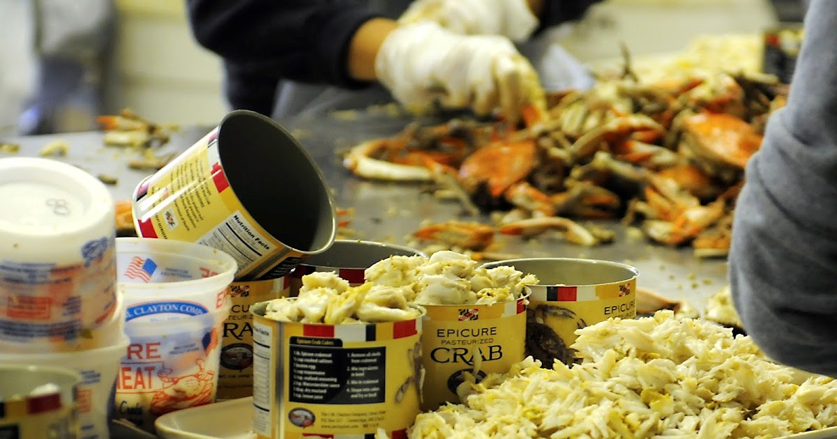Crab Canning Supplier Frozen Mud Crab Supplier, Crab Meat Seller