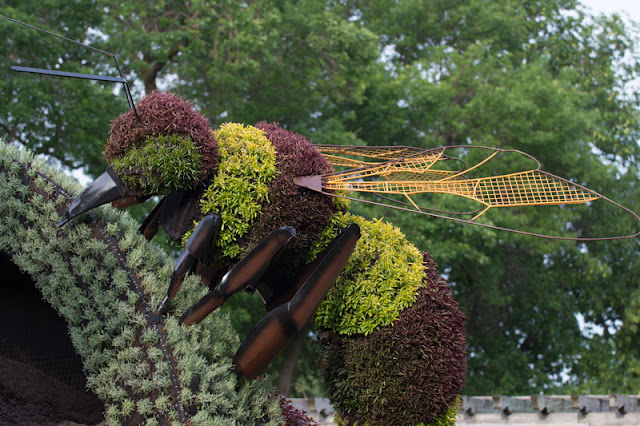 Mosaïcultures Internationales Montréal 2013 – Land of Hope.