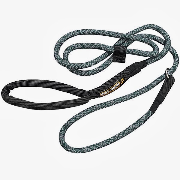 Leash training your new puppy