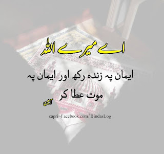 Best Quotes and DP Best Quotes and DP