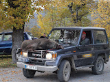 Une journée de chasse à Châtelus 2011