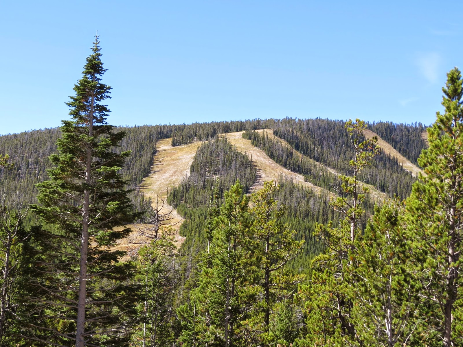 TRAVELS WITH BILL Livingston, MT