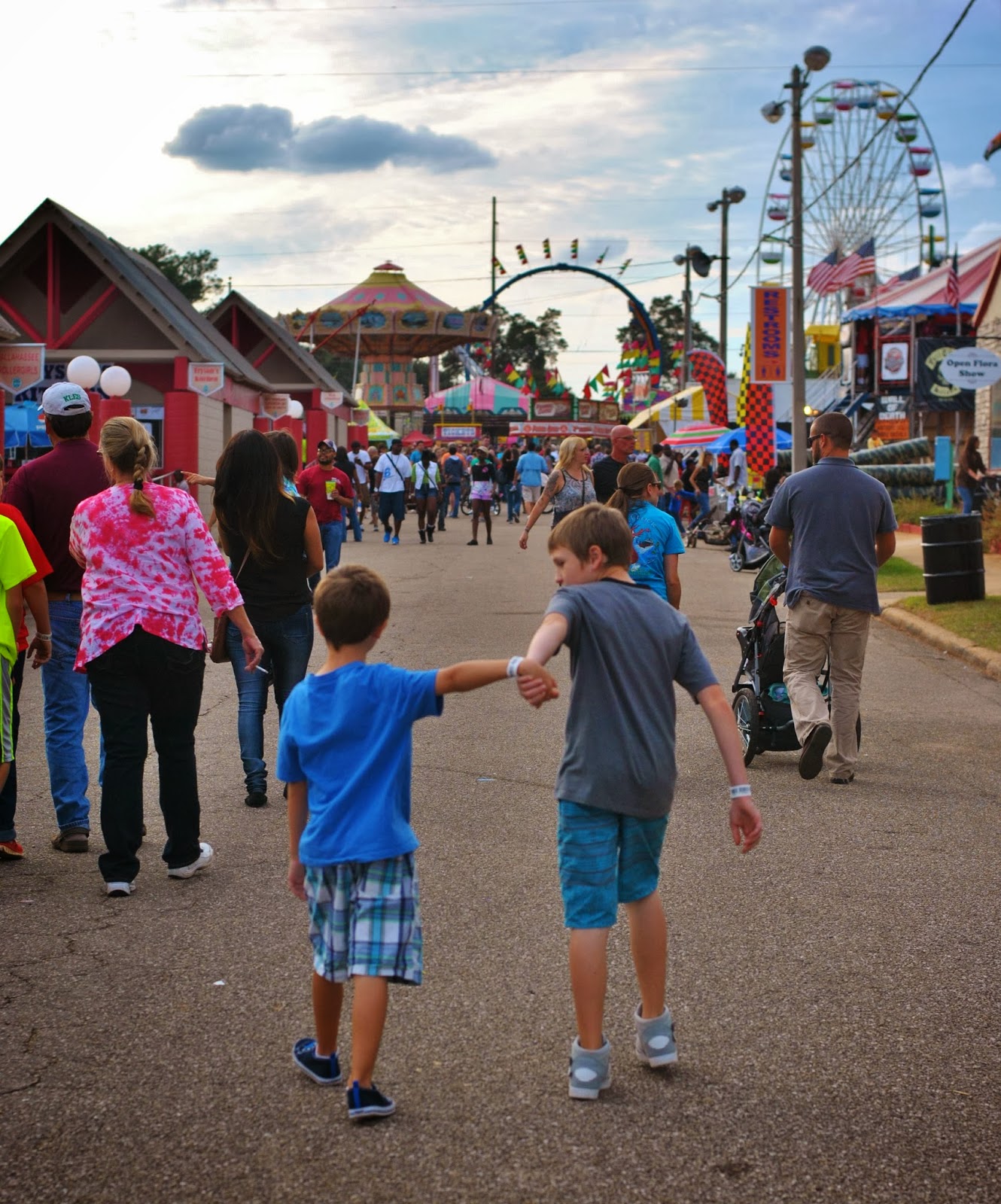 Life With 4 Boys Fun at the Fair