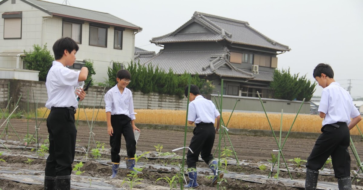 香川大学教育学部附属高松中学校ブログ