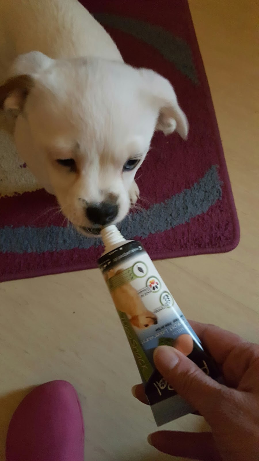 Mona�s Blog Hunde Leberwurst Tube Leckerli »TuboSnack« von PetPäl