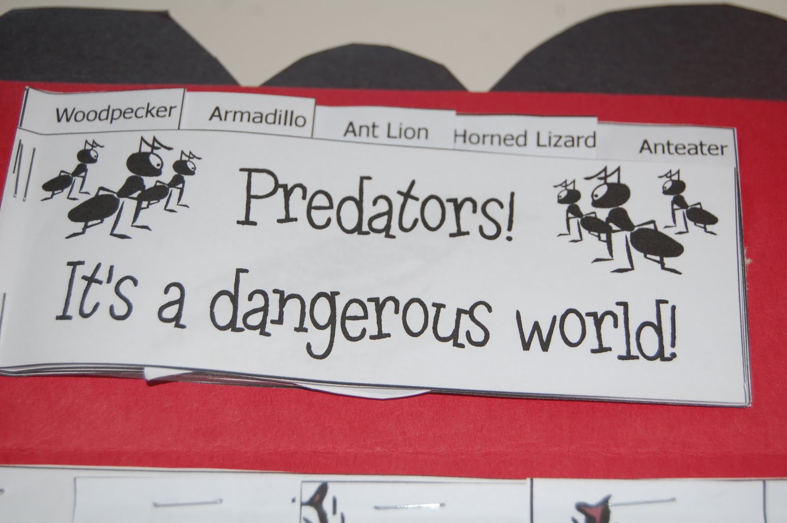 Our Creative Day: Mini-Ant Lapbook