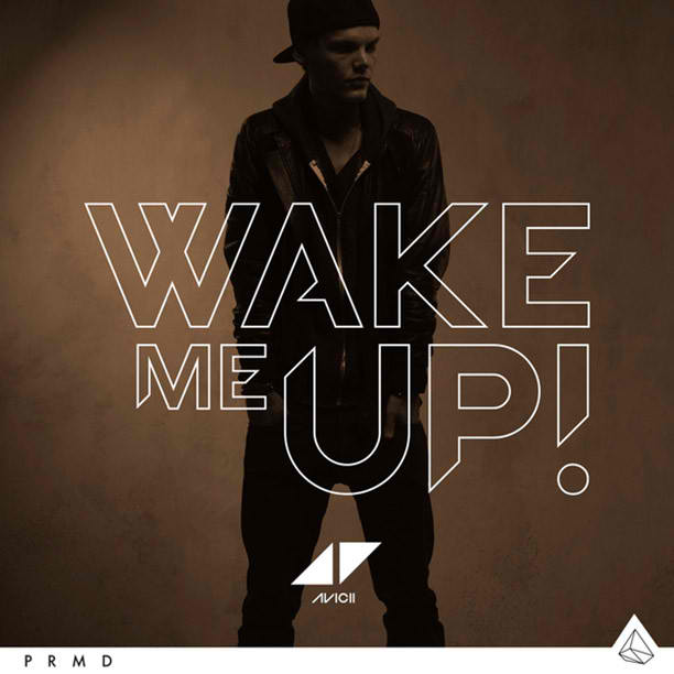 Wake Me Up - AVICII (LYRICS) ~ Yes...I Got It