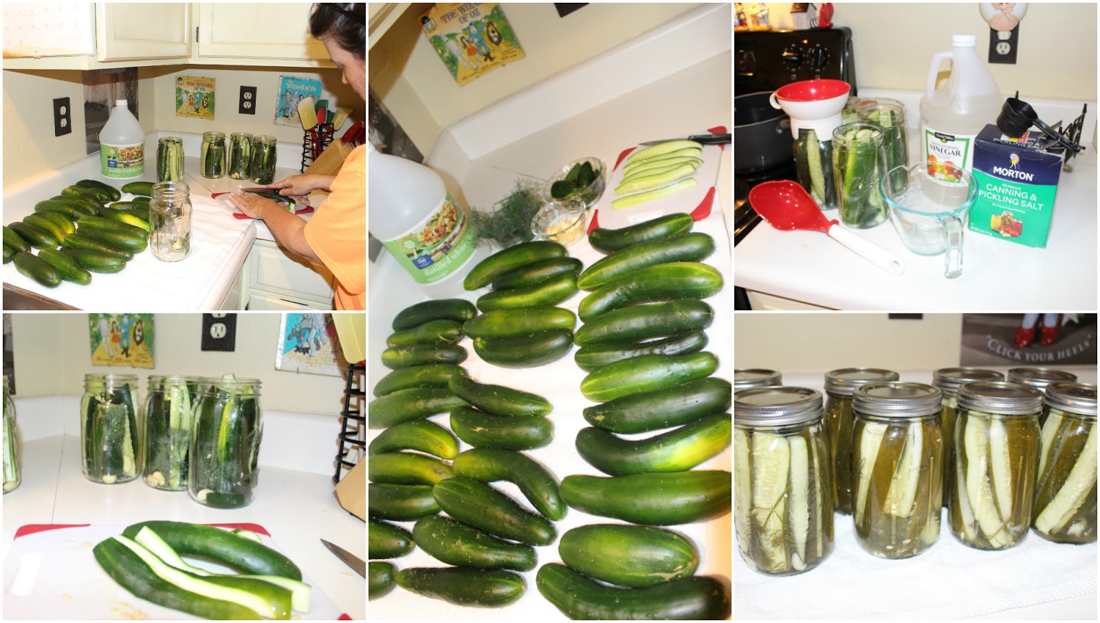 Texas Kirkwoods Canning Jalapeno, Garlic and Dill Pickle Spears