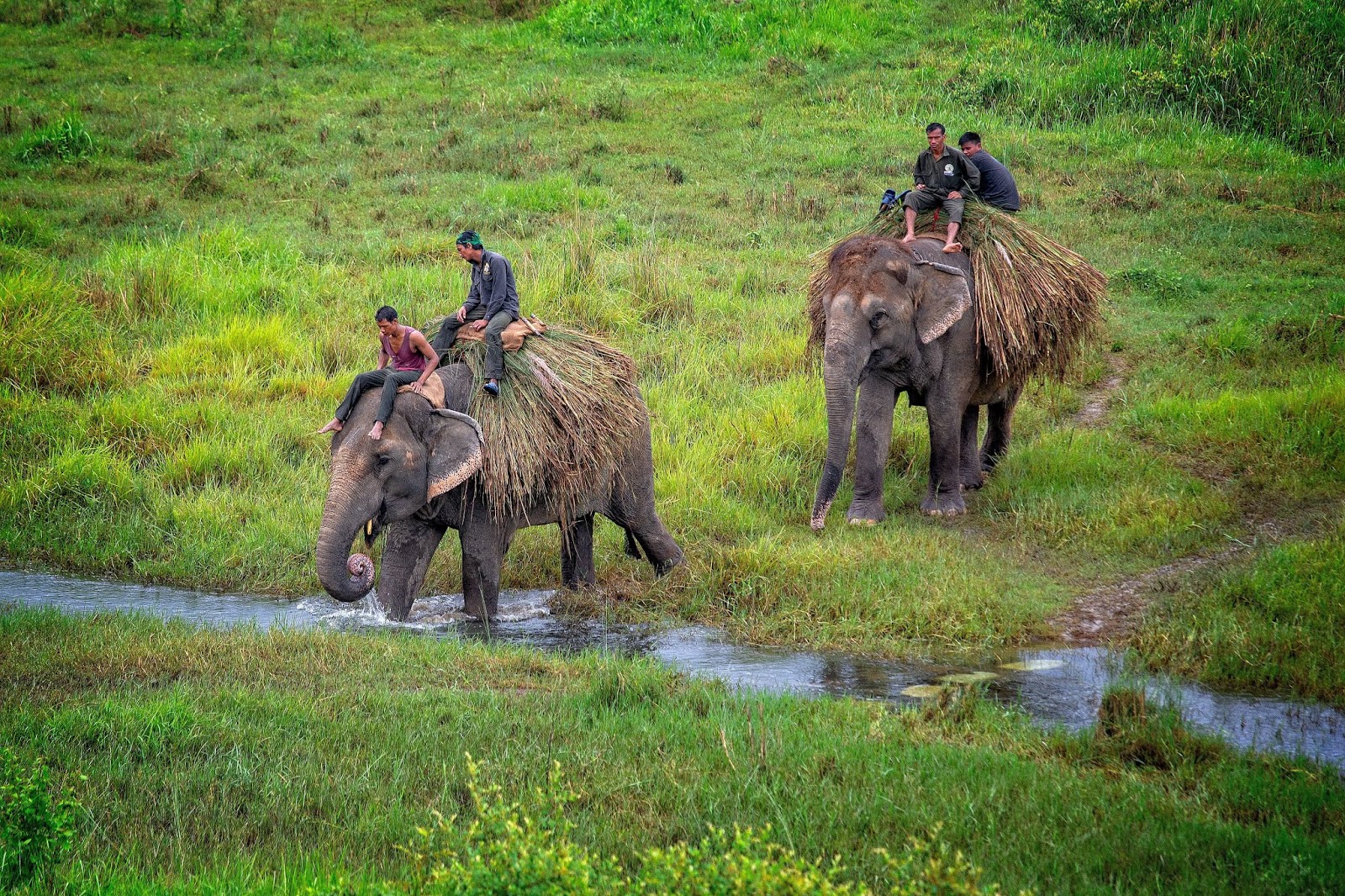 Sauraha, Chitwan national park things to do, top attractions and