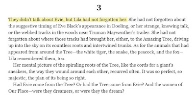 They didn't talk about Evie, but Lila had not forgotten her. 