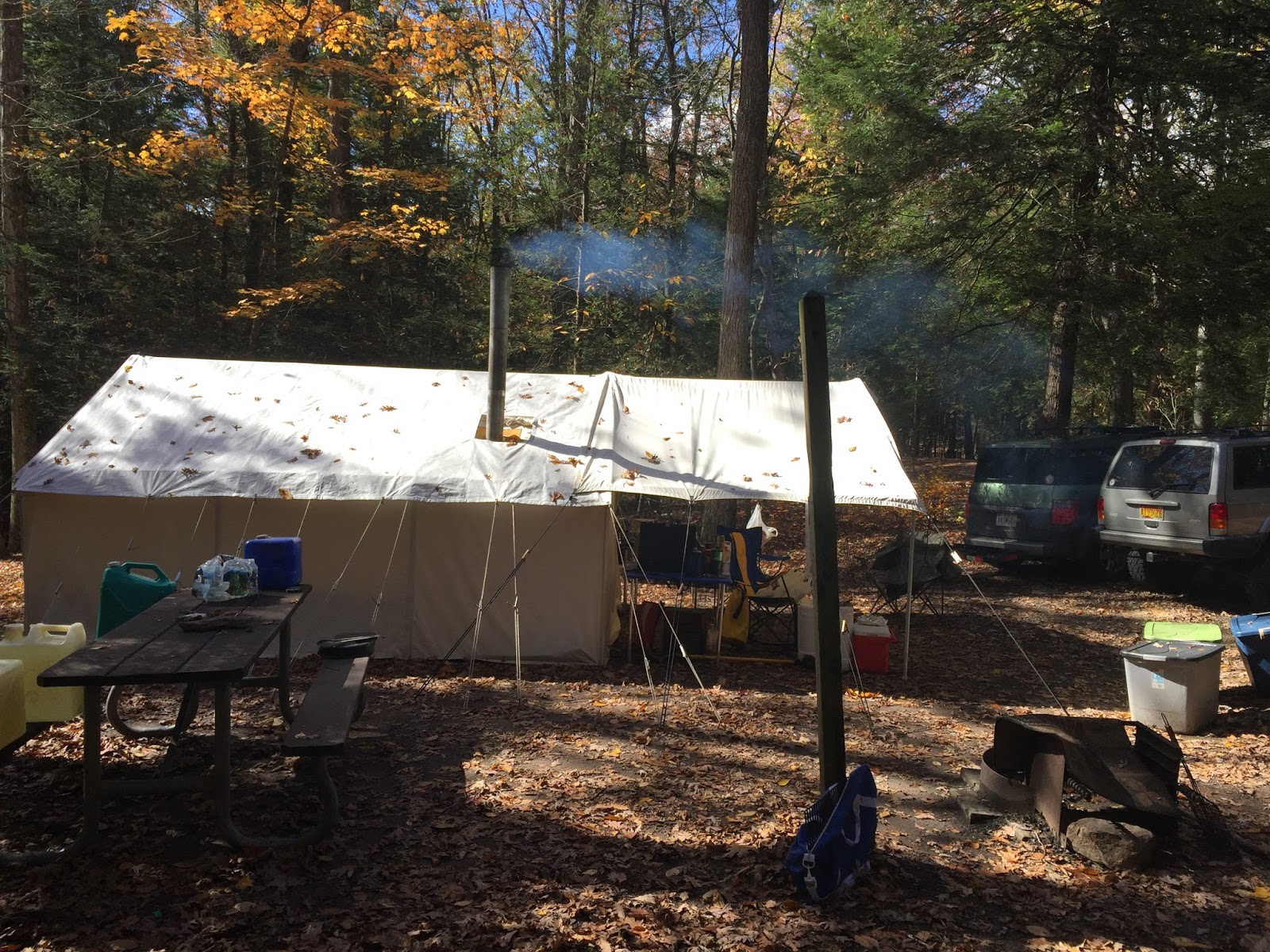 Traditional "Know How" Maryland Black Bear Hunt Public Land Success