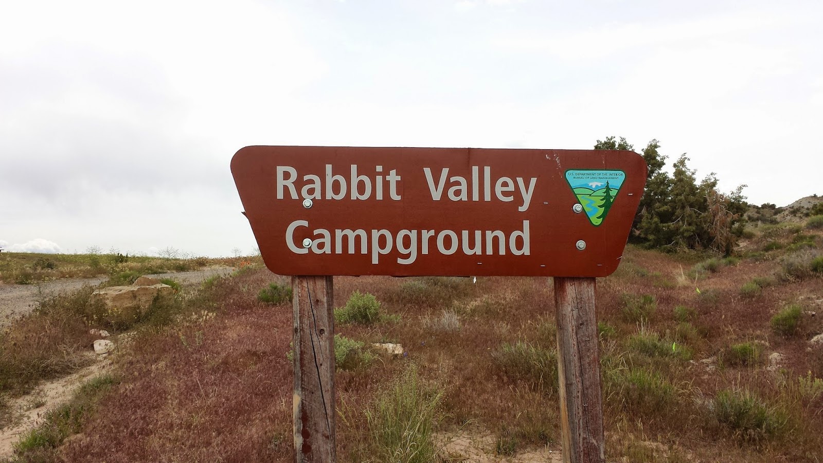 Tech-nically Homeless: Campground Review: Rabbit Valley Recreation Area ...