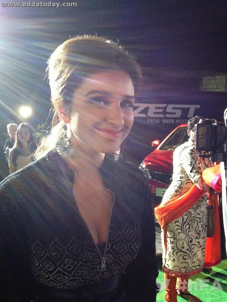 parineeti-chopra-iifa-2014-tampa-bay-1.j