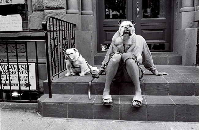 elliot-erwitt_dog_003.jpg