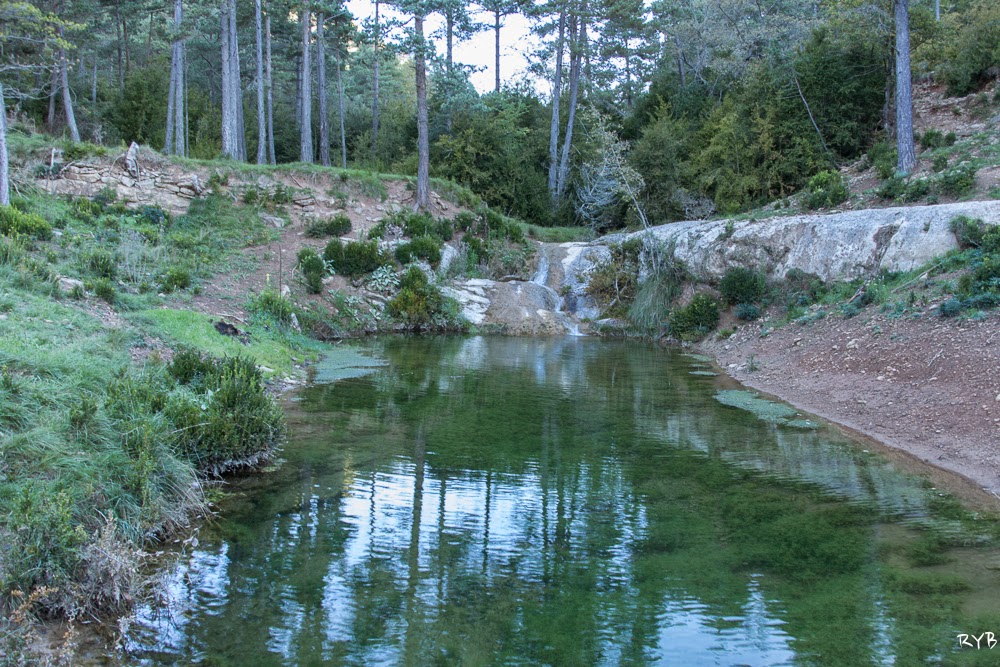 Ruta: Els Tossals (1.525 m.) – Capolat –Espunyola (Els 100 Cims)