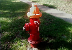 orange top fire hydrant