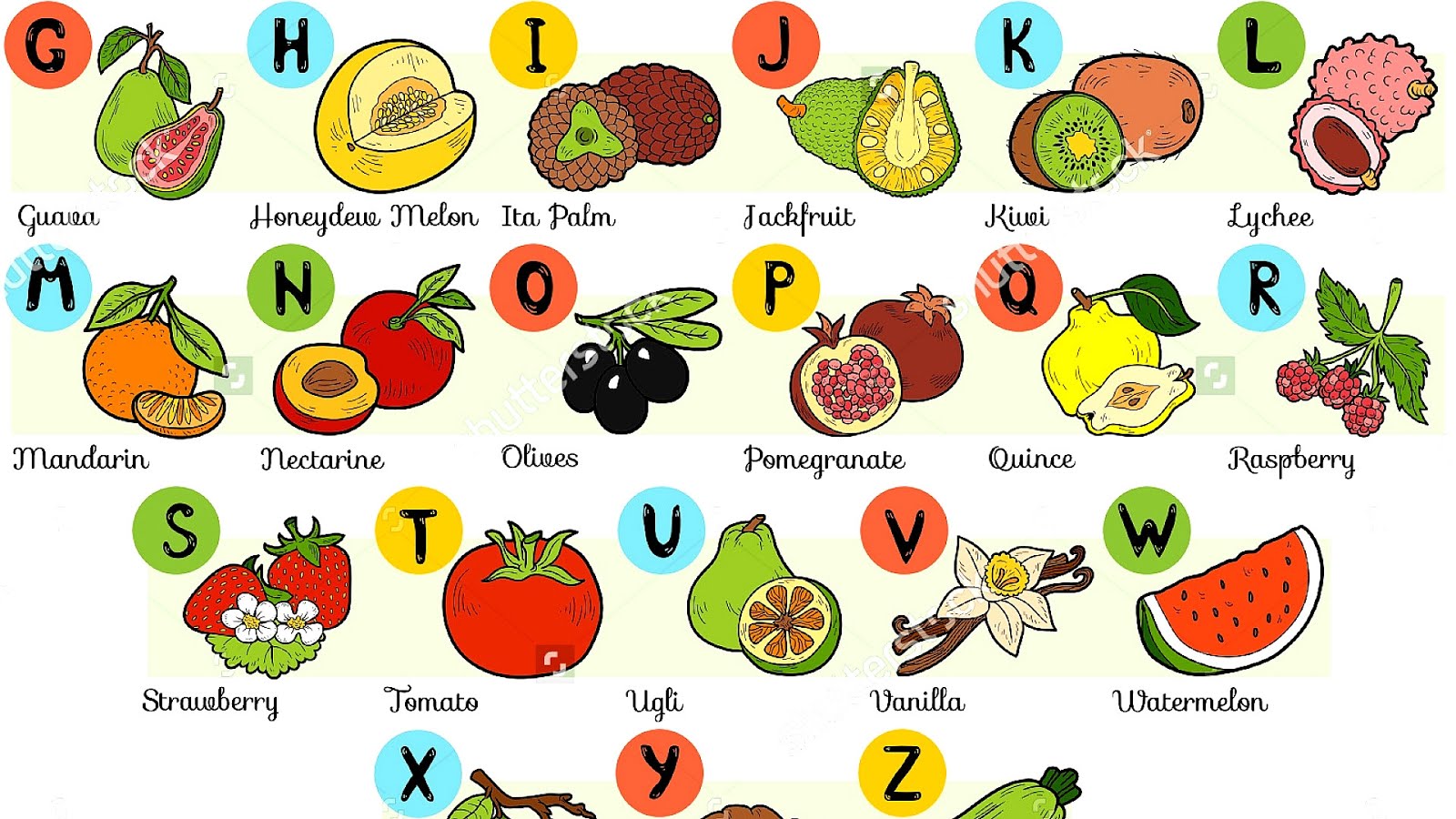 All Fruits And Vegetables Az Vege Choices