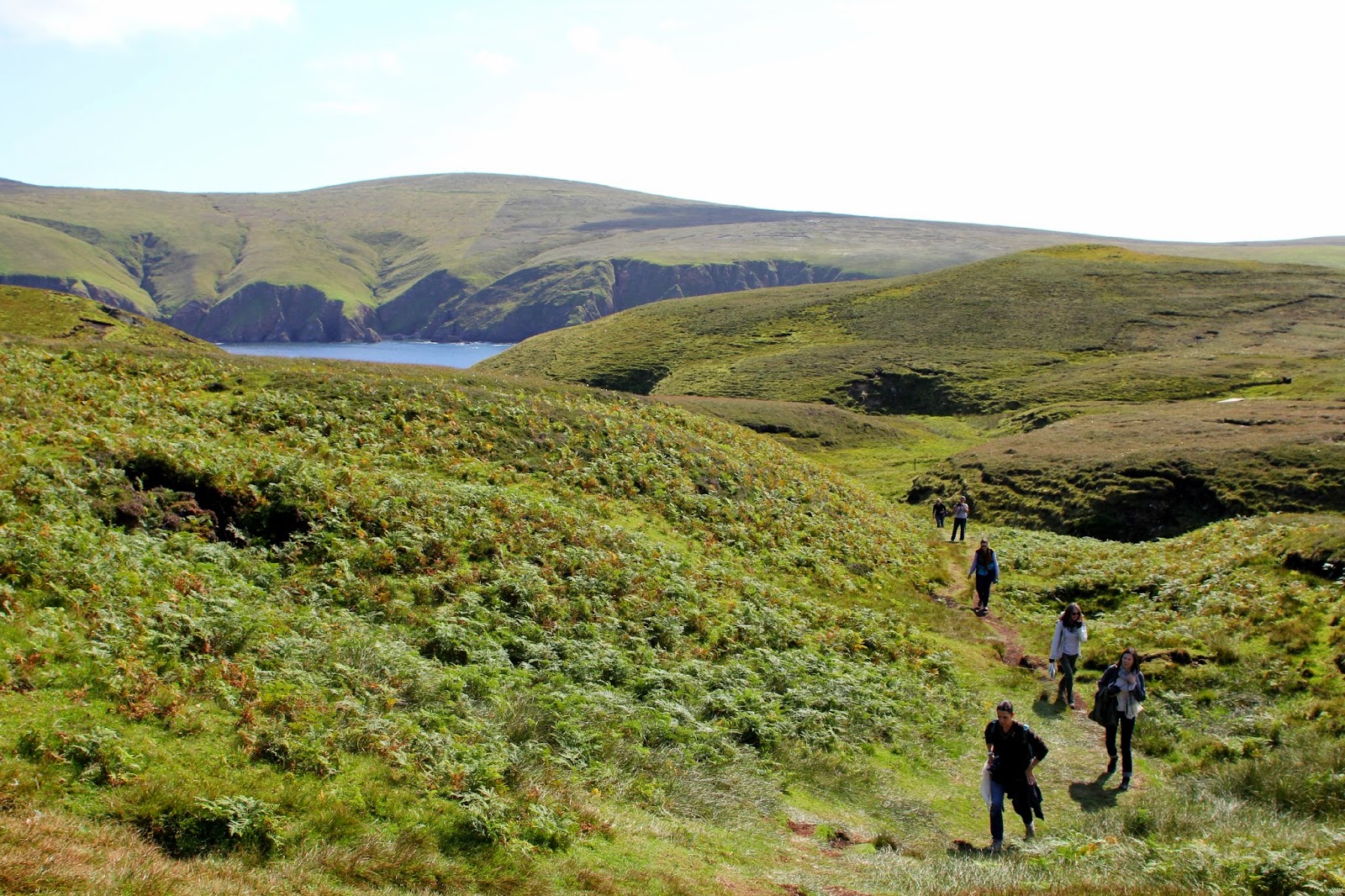 lori times five shetland memories