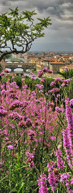 Ponte Vecchio - widok z Placu Michała Anioła