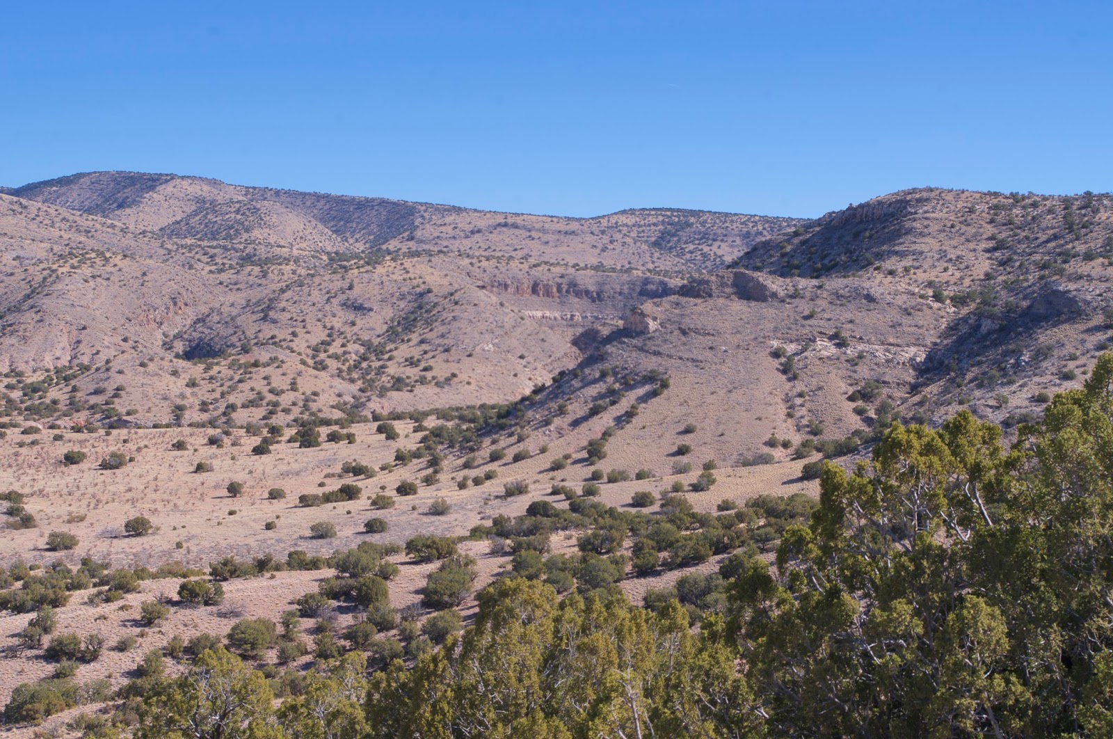Southern New Mexico Explorer Cañoncito de la Uva Stallion Wilderness Study Area