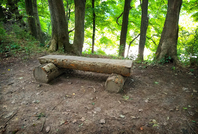 Another Log Bench McDade Trail Hiking