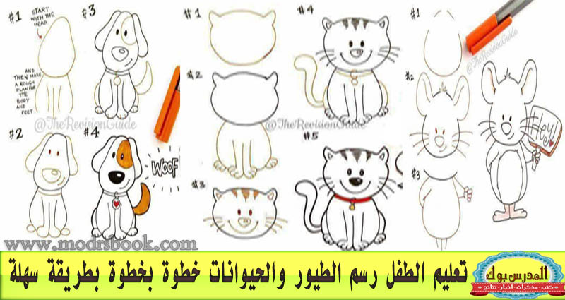 تعليم الطفل رسم الحيوانات والطيور علم طفلك رسم الكلب القطة الخروف الفار الارنب العصفور الدب