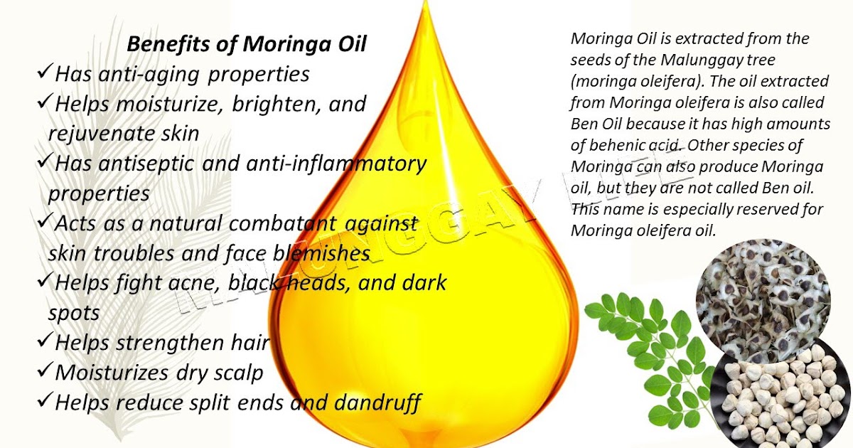 Moringa Farm / MalunggayLife Agri Farm Philippines Moringa Oil