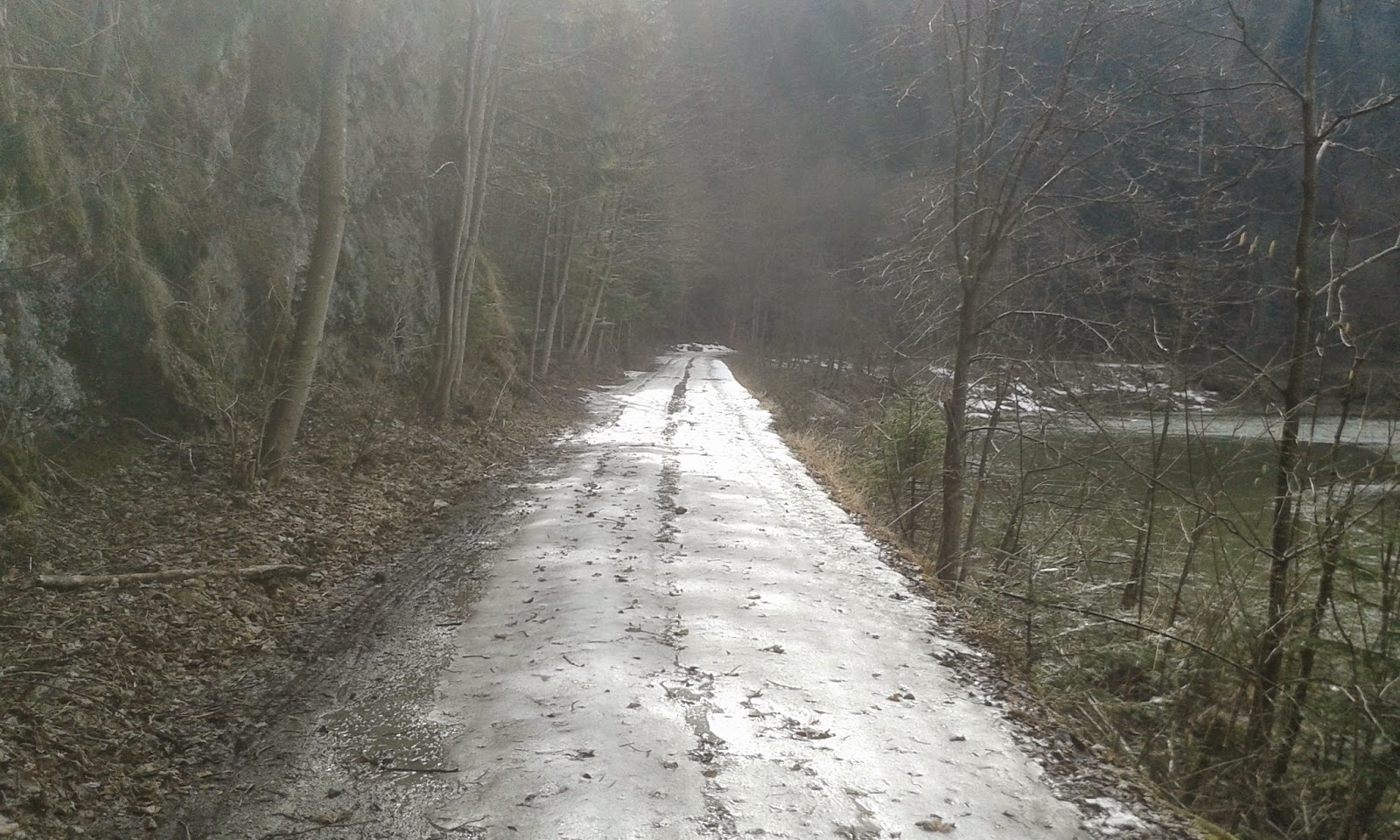 Zimowa droga Pienińska