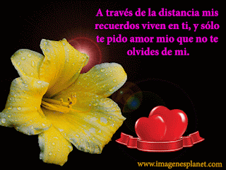 Frases De Amor Y De Amistad Para Compartir : Imagen de Amor Con Flores