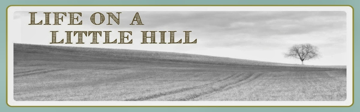 Life on a Little Hill
