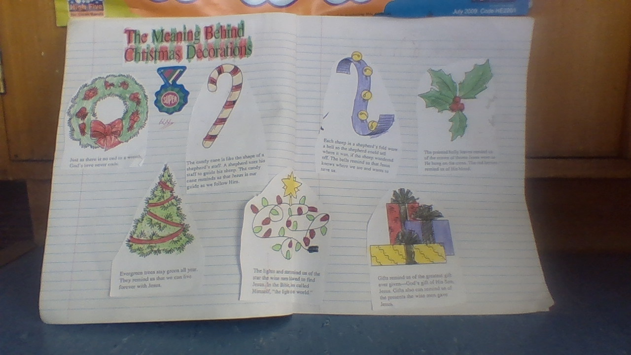 Room 6 2018 St Patrick's School