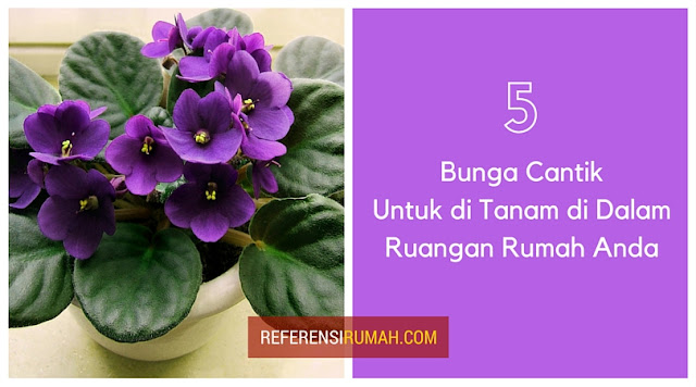 5 Bunga Cantik Untuk di Tanam di Dalam Ruangan Rumah Anda