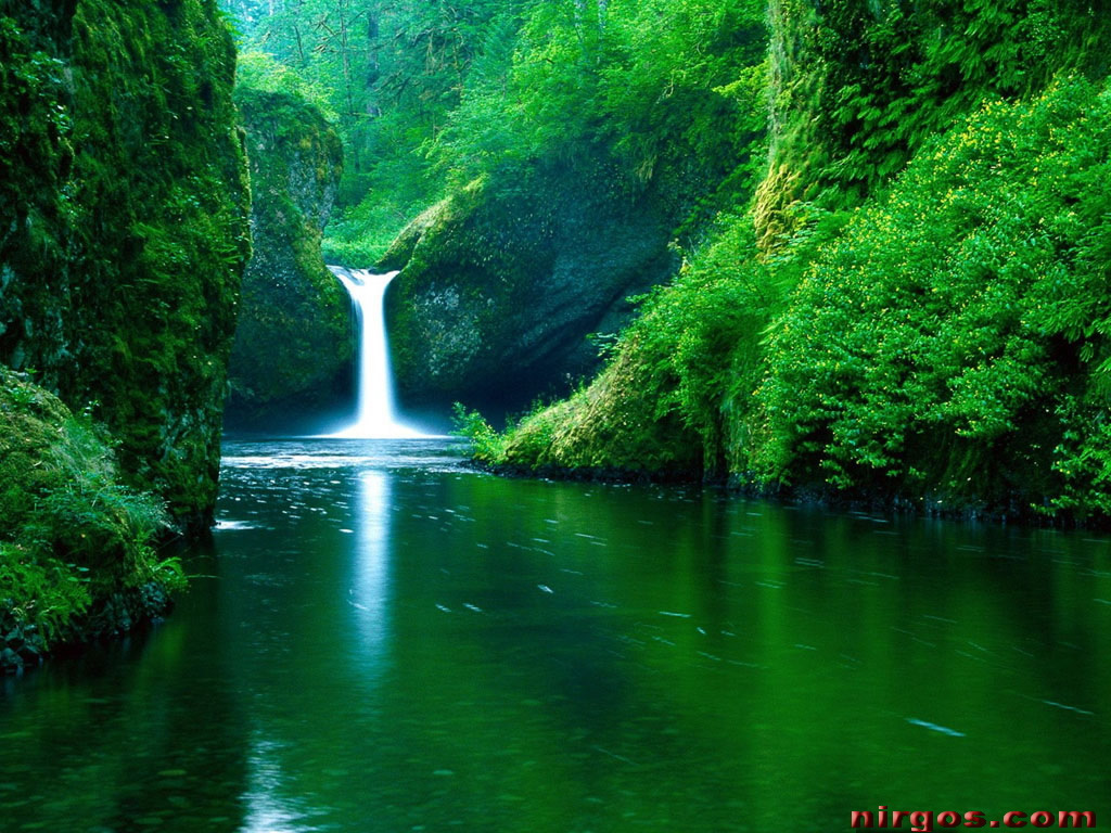 peartreedesigns: free computer wallpapers peartreedesigns: free computer wallpapers
