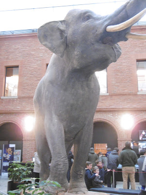 Punch, Muséum Toulouse, malooka