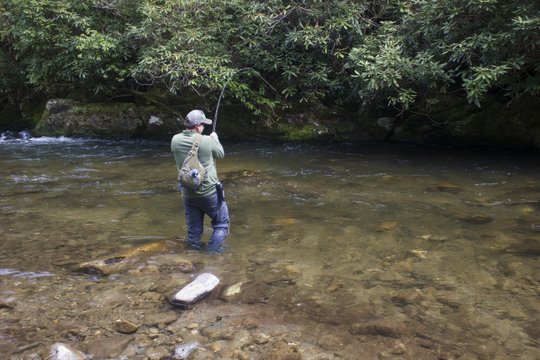 An angler on Deep Creek in the Smokies hooks a nice trout and gets the rod bent