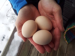 Bev holding 3 eggs